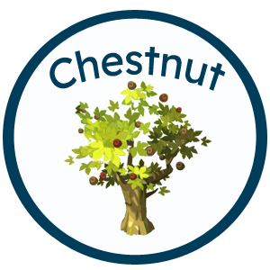 Chestnut Class
