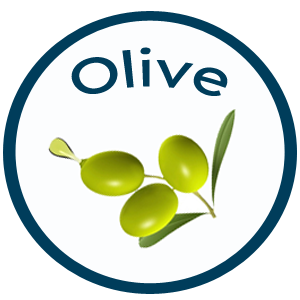 Olive Class